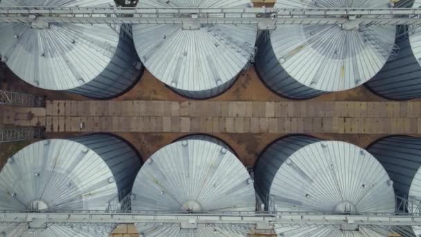 Elevador Armazenamento Grãos Grande Hangar Metal Para Grãos Silo Com — Vídeo de Stock