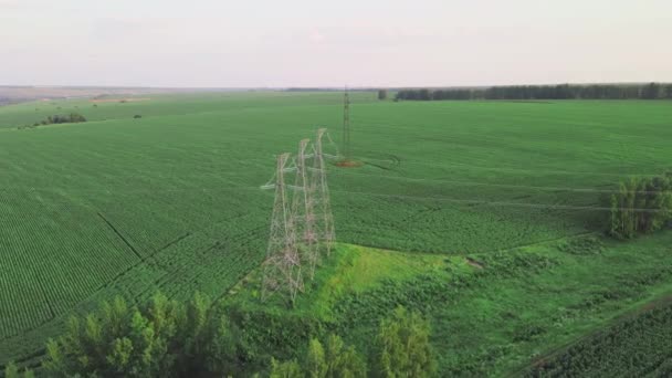 Transmissietoren Bij Zonsondergang Elektrische Transmissie Station Met Metalen Palen Elektrische — Stockvideo