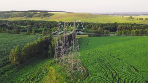 Línea Transmisión Campo Rural Torre Alto Voltaje Para Red Eléctrica — Vídeos de Stock