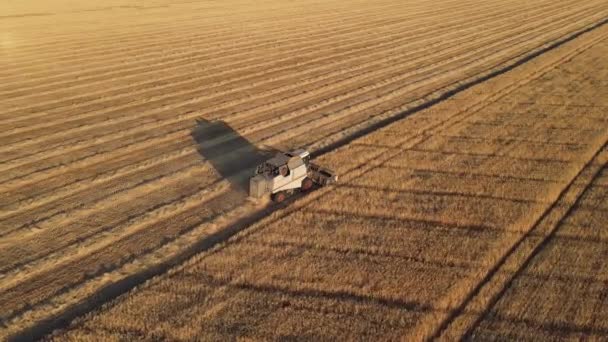 수확가는 모은다 공중에서 산업의 — 비디오