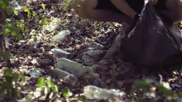 公園内の清掃エリアでゴミ袋にボトルを拾う男の手 ボランティア 生態学の概念 — ストック動画