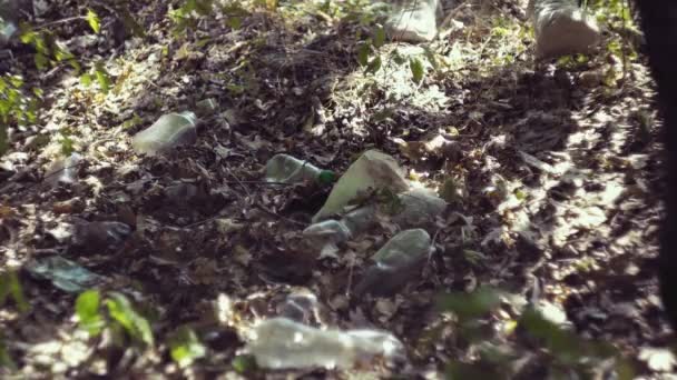 义工把一个塑料瓶放进垃圾袋 森林中的垃圾收集 — 图库视频影像