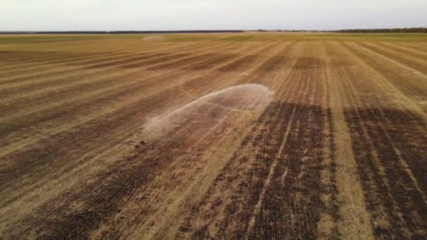 Irrigation System Rain Guns Sprinkler Agricultural Wheat Field Harvest Aerial — Stock Video