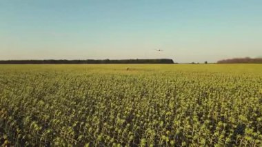 Tarımsal dron tarama tarama alanı. Yapay zeka ve IOT teknolojisi. Tarım yeniliği