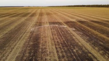 Sulama sistemi tarımsal buğday tarlasına yağmur silahları yağdırıyor.