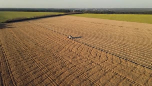 联合收割机收割小麦 收获农业概念 金小麦生活方式田中的联合收获 — 图库视频影像