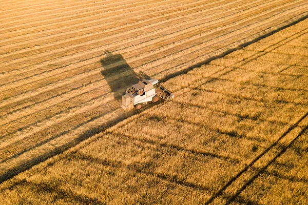 収穫機を組み合わせて晴れた日に熟した小麦を収集します 農業の仕事と食品産業の概念の空中ショット — ストック写真