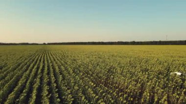 Gerçek zamanlı ürün yönetimi için akıllı teknoloji çözümleri