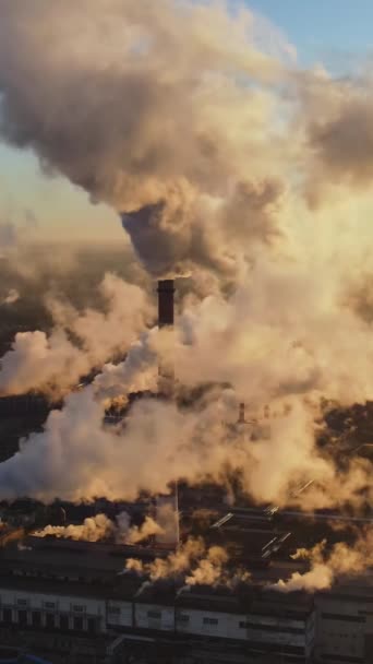 Industrielle Fabrik Emission Gasser Luften Lodret Video Industrizone Tykke Røgfaner – Stock-video