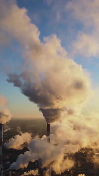 Industrial Factory Tubos Emissão Fumo Carbono Gases Vídeo Vertical Crise — Vídeo de Stock