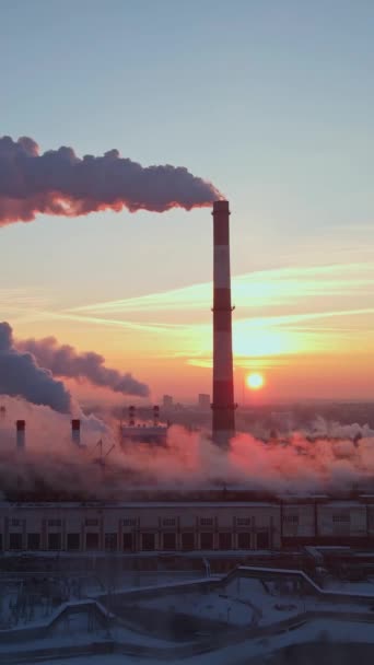 Emissions Factories Chimneys Producing Smoke Sunrise Vertical Video Environment Ecology — Stock Video