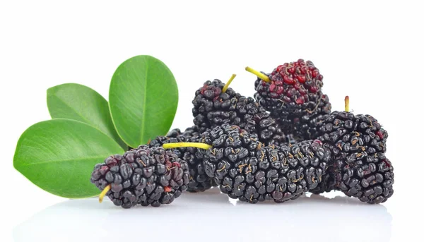 Mulberry Dan Daun Hijau Diisolasi Pada Latar Belakang Putih Stok Foto