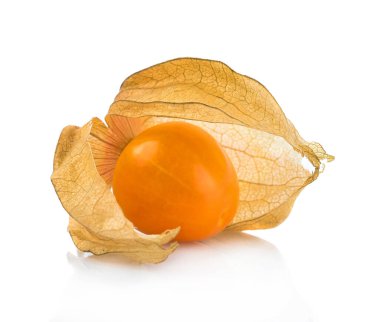 Beyaz arka planda yalıtılmış Cape bektaşi üzümü (physalis)