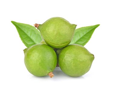 Beyaz arkaplanda Macadamia ve yeşil yaprak izole