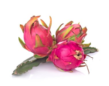 Beyaz arkaplanda Ejder Meyvesi izole