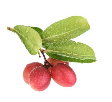 Carissa Carandas, mango esneme limon bu beyaz arka planda su damlası ile