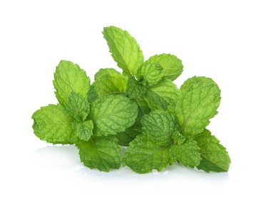 Beyaz arka plan üzerinde izole nane