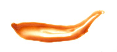 Beyaz arkaplanda izole edilmiş Chili sosunun üst görünümü