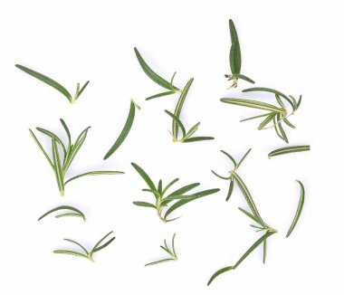 Biberiye üst görünümü beyaz arkaplanda izole