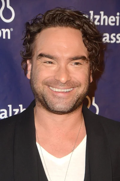 Skuespiller Johnny Galecki - Stock-foto