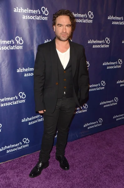 Skådespelaren Johnny Galecki — Stockfoto