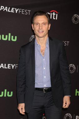 Aktör Tony Goldwyn