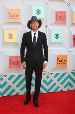şarkıcı Tim Mcgraw