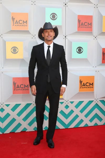 Sångaren Tim Mcgraw — Stockfoto