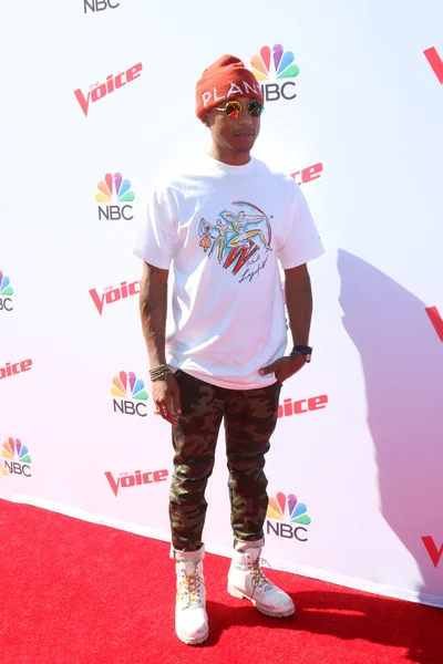 Cantante Pharrell Williams — Foto Stock