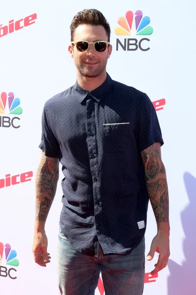 Sänger Adam Levine — Stockfoto