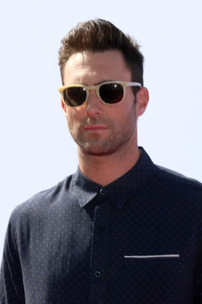 Zanger Adam Levine — Stockfoto