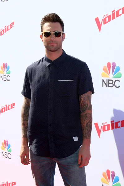 Cantor Adam Levine — Fotografia de Stock