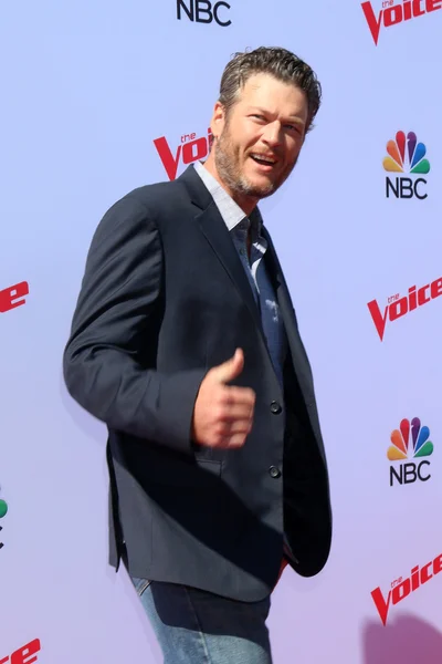 Singer Blake Shelton — Stock Photo, Image