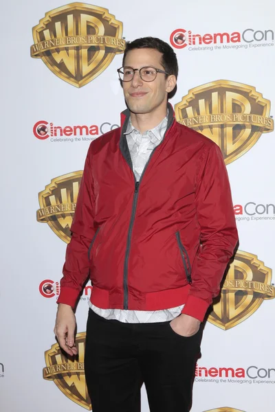 Skådespelaren Andy Samberg — Stockfoto