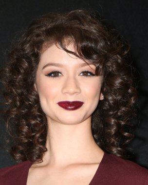 aktris Paige Searcy 