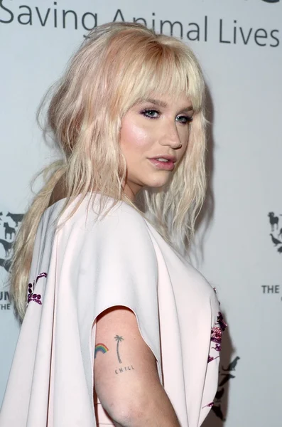 şarkıcı, söz yazarı Ke$ha