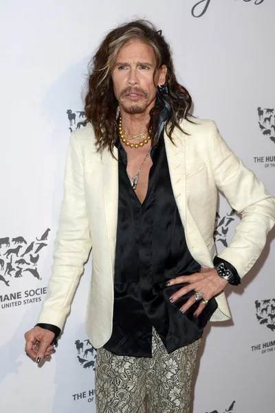 Cantor Steven Tyler — Fotografia de Stock