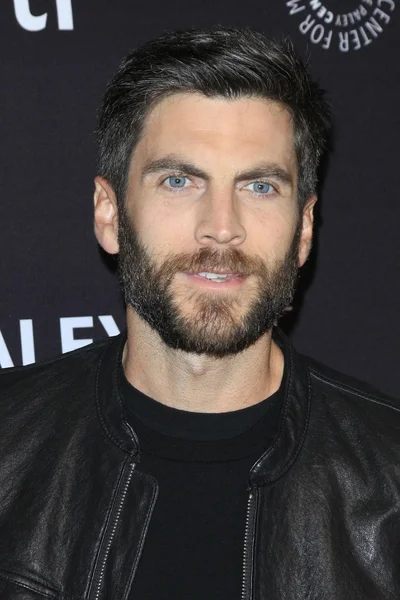 aktör Wes Bentley 