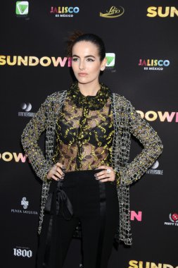 Aktris Camilla Belle