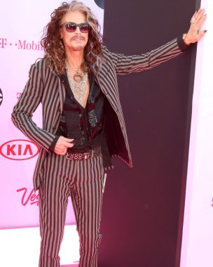 Şarkıcı Steven Tyler 