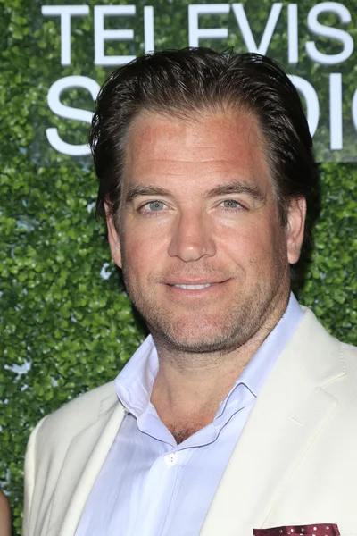 Ator Michael Weatherly — Fotografia de Stock