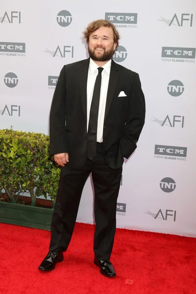 Haley Joel Osment — Stock Fotó