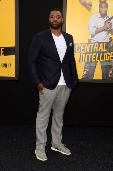 Agente Laroyce Hawkins —  Fotos de Stock