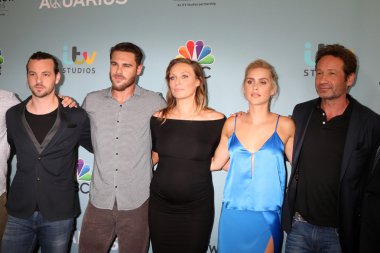 Kova döküm, Gethin Anthony, gri Damon, Michaela Mcmanus, Claire Holt, David Duchovny