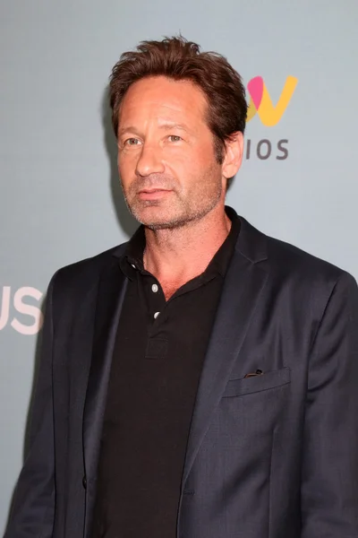 Actor David Duchovny — Stock Photo, Image