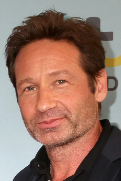 El actor David Duchovny — Foto de Stock