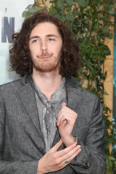 Andrew Hozier-Byrne, Hozier — Stockfoto