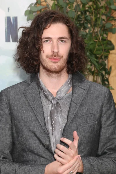 Andrew Hozier-Byrne, Hozier — Stockfoto