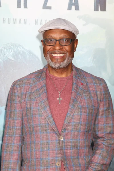 James Pickens Jr. — Stock Photo, Image