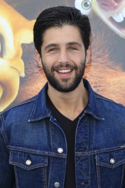 Aktör Josh Peck